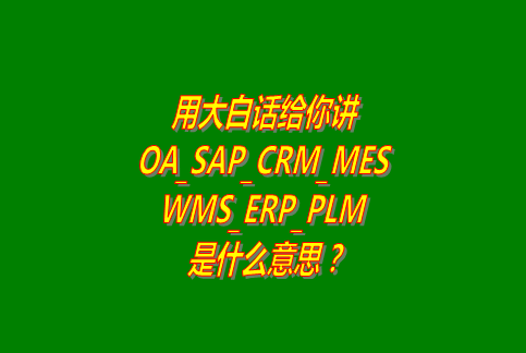 OA,SAP,CRM,MES,WMS,ERP,PLM